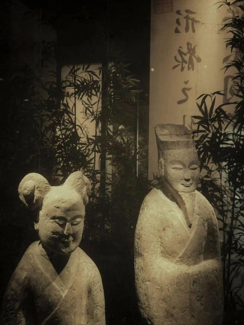 光影詩篇，竹韻新生——南京六朝博物館的建筑美學與鋼筋材料的現(xiàn)代演繹